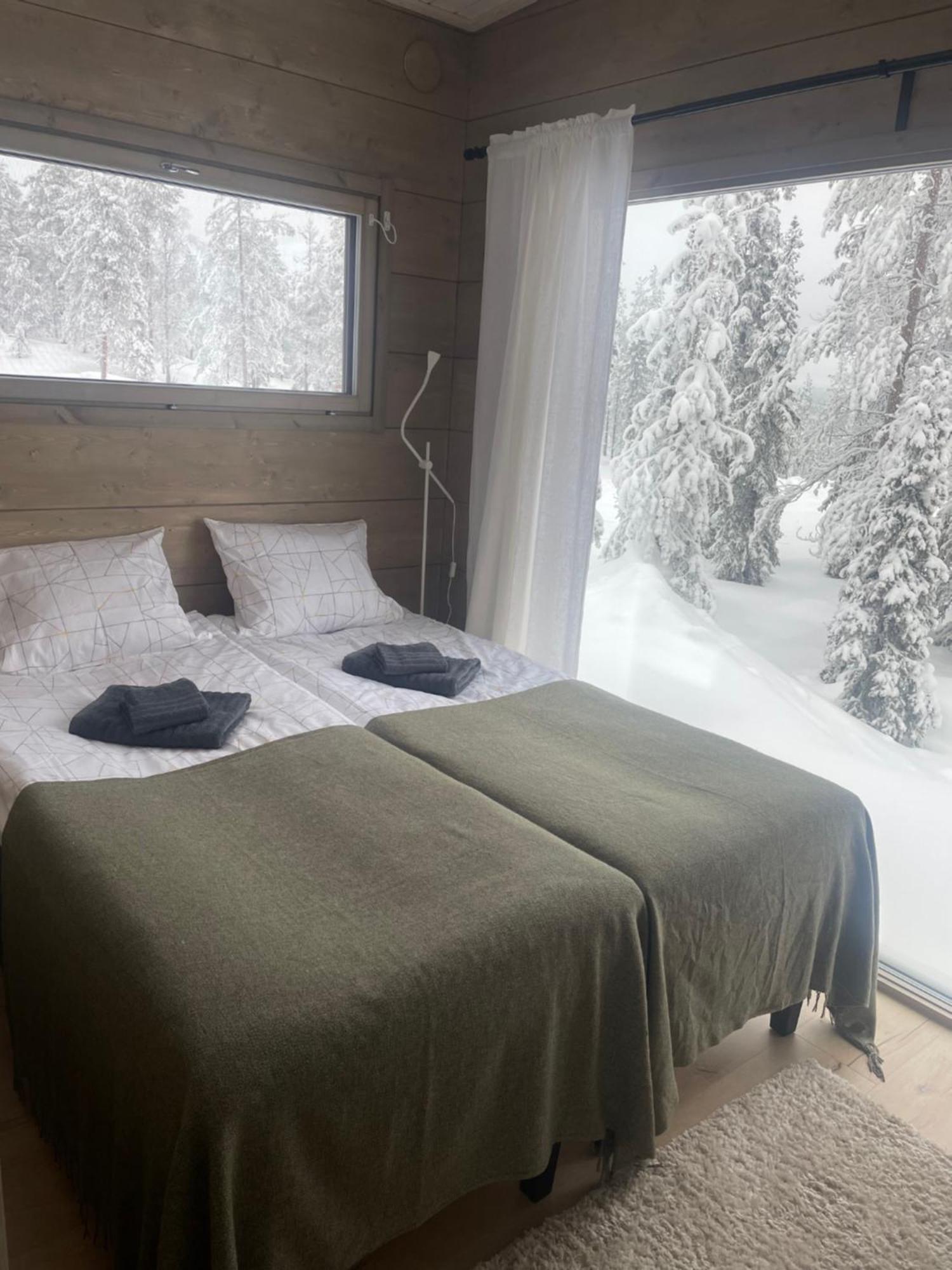 Wald - Aavasaksa, Lapland Aavasaksa
