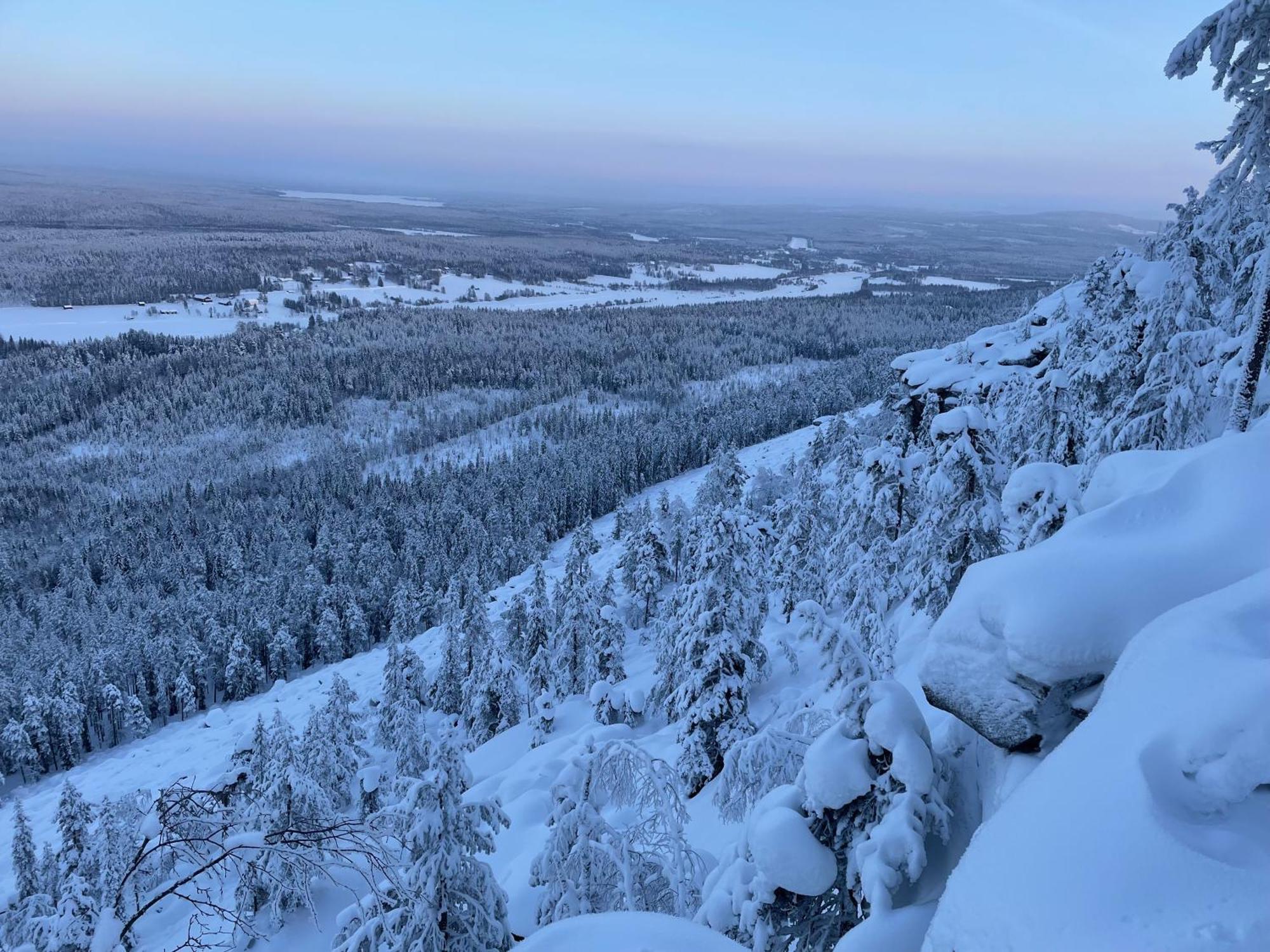 Wald - Aavasaksa, Lapland *